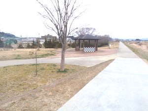 e0097615_17114450.jpg