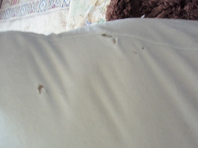 c0145016_1221347.jpg
