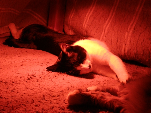 c0158916_1923169.jpg