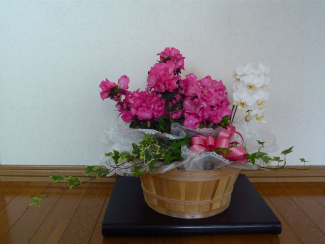 e0111220_974085.jpg