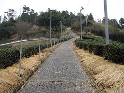 f0000521_6285368.jpg