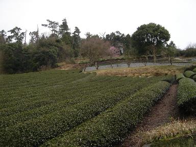 f0000521_7122463.jpg