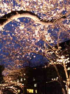 e0177824_23311234.jpg