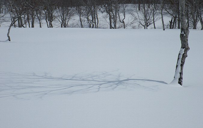 f0118332_20201878.jpg