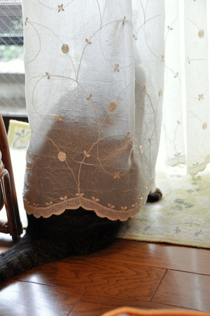 c0133533_015517.jpg
