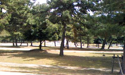 a0116442_1522615.jpg