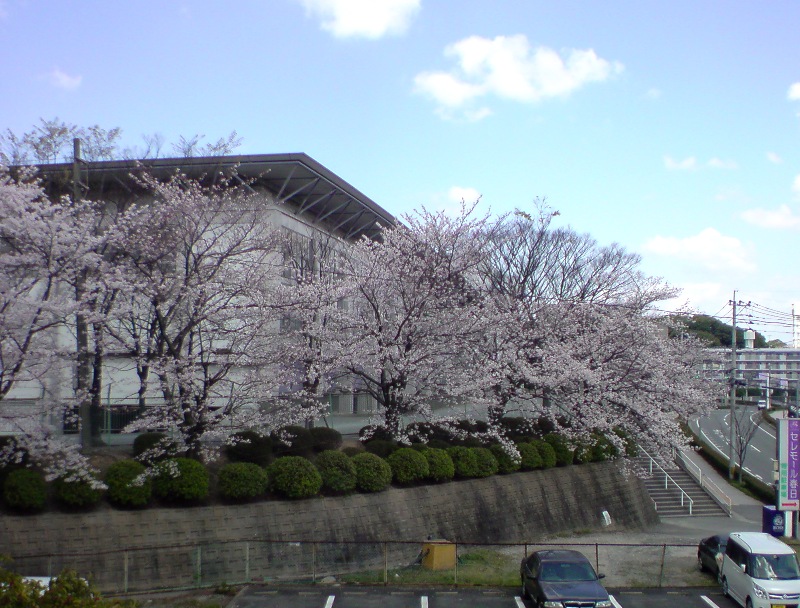 c0189747_22305824.jpg
