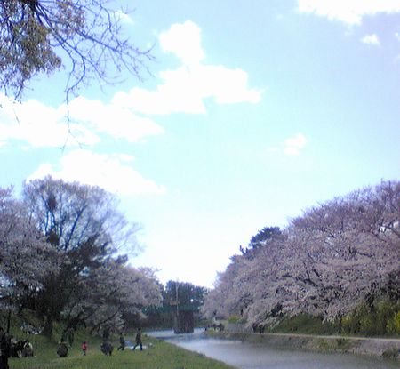 a0048852_15162723.jpg