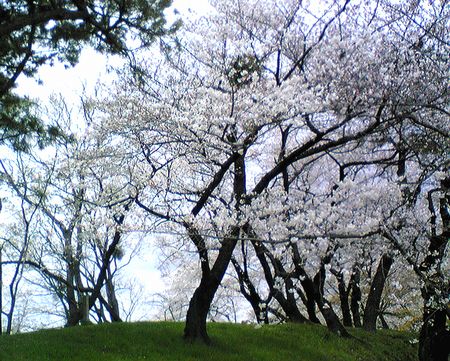 a0048852_15191050.jpg