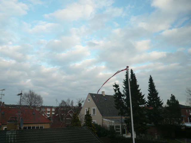 b0109054_1395193.jpg