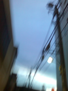 a0094455_1829335.jpg