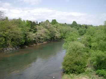 c0186463_1817963.jpg
