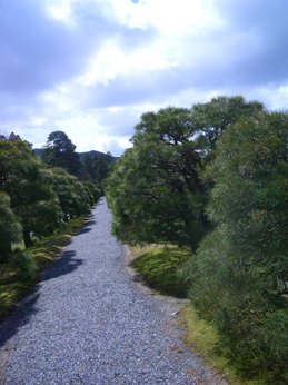 f0195963_9564142.jpg