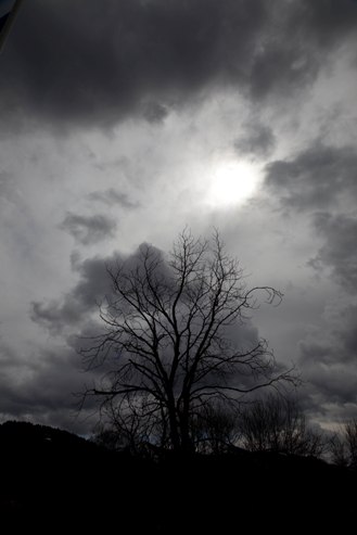 b0091164_581333.jpg