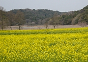 a0096669_23275944.jpg