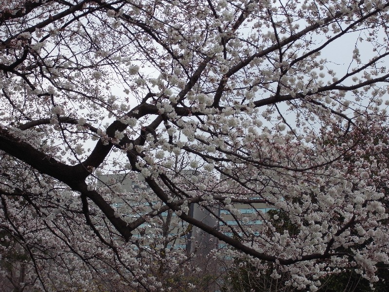 b0084270_23185070.jpg
