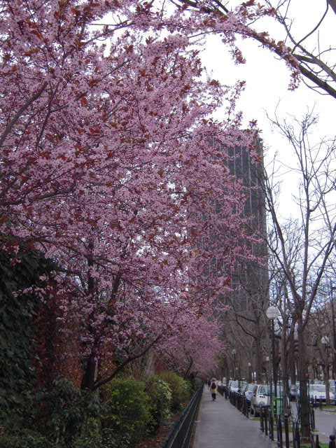 b0169771_7515098.jpg