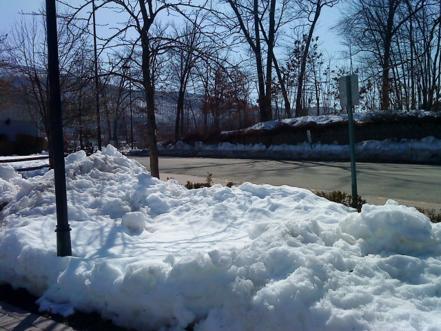 f0016771_4232136.jpg