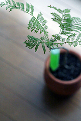 c0157276_180568.jpg