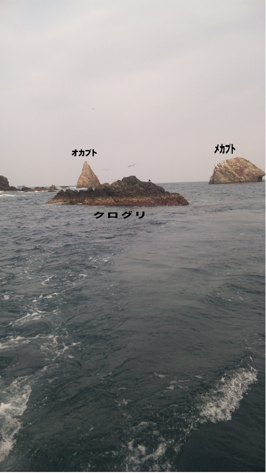 a0120877_9135717.jpg