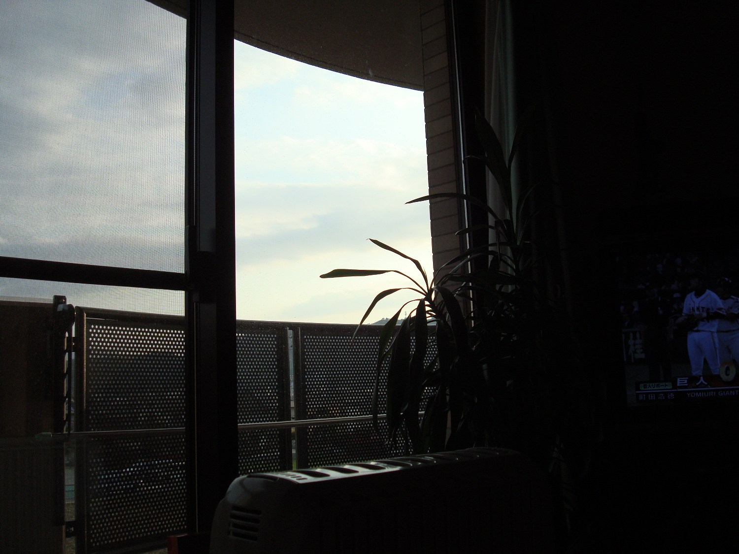 a0135577_11434567.jpg