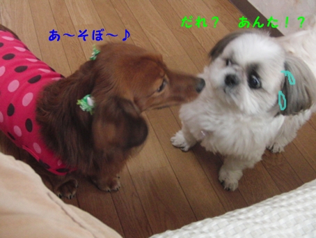 c0163878_17265825.jpg