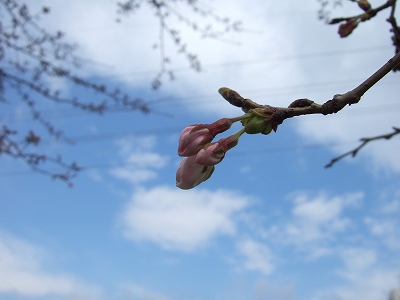 b0143879_14101394.jpg