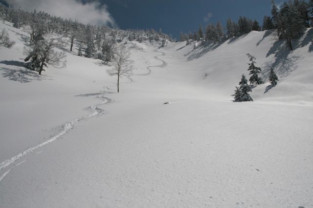 d0079579_834445.jpg