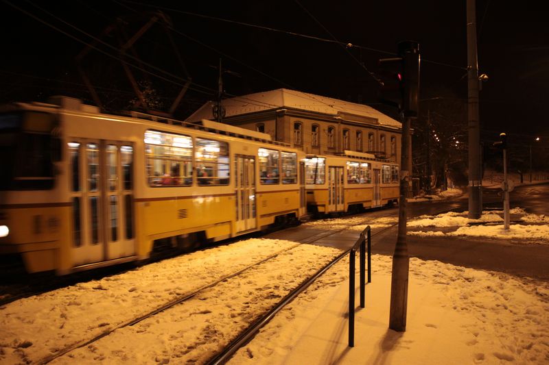 c0148781_2264593.jpg