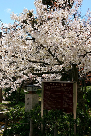 b0073782_19471458.jpg