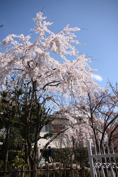 b0073782_19504841.jpg