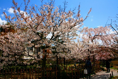 b0073782_19524456.jpg