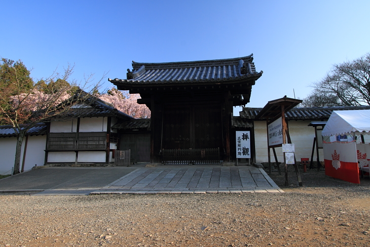 e0051888_22551689.jpg