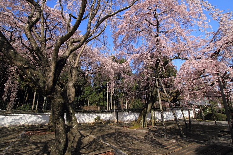 e0051888_22565547.jpg