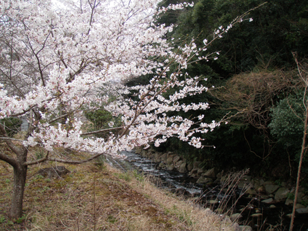 b0178889_9254378.jpg