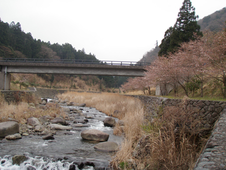 b0178889_9263219.jpg