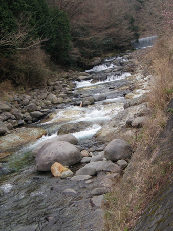 b0178889_928478.jpg