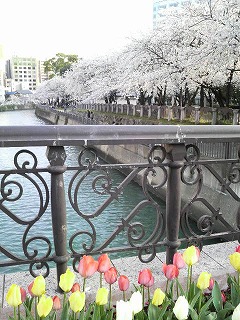 f0212197_932743.jpg