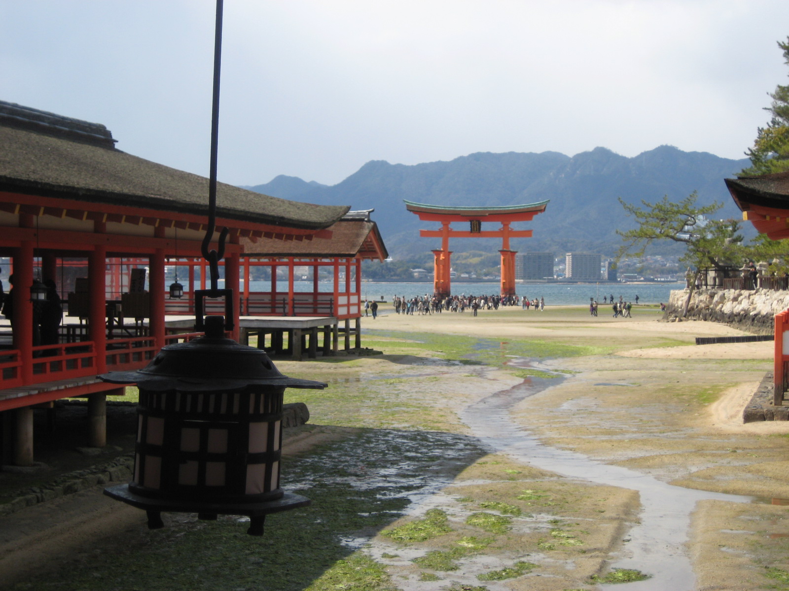 f0013998_20164169.jpg