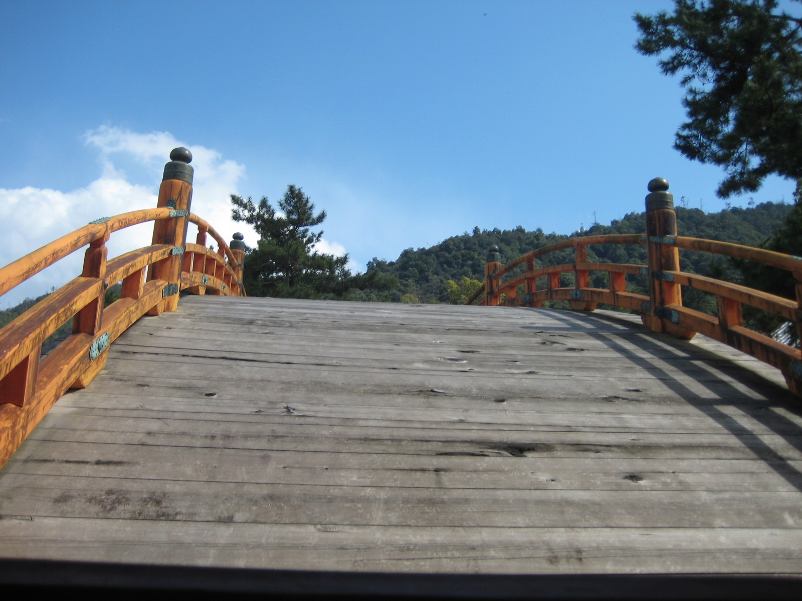 f0013998_20164983.jpg