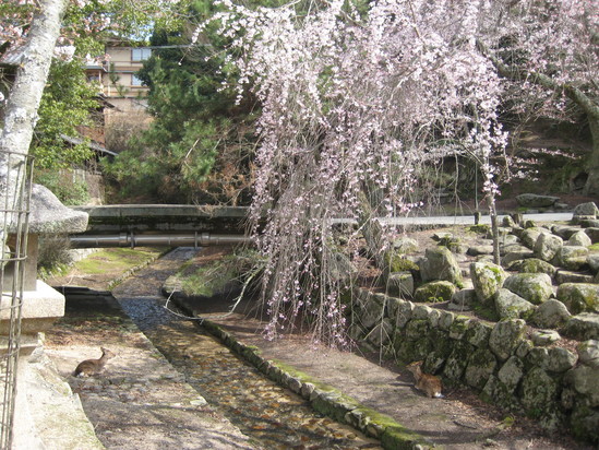 f0013998_201755.jpg