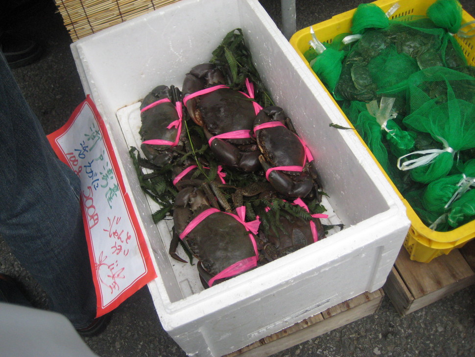 f0013998_2137245.jpg