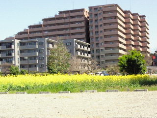 b0160300_16505382.jpg