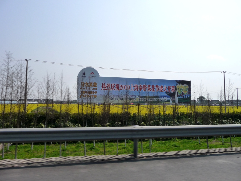 d0090300_11153623.jpg