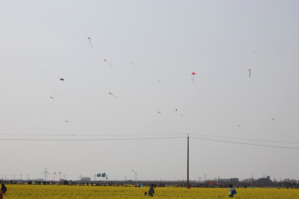 d0090300_11485420.jpg