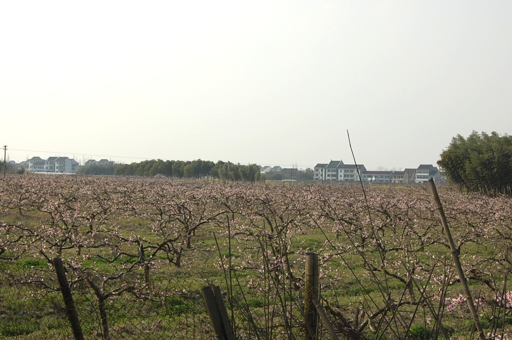 d0090300_13121729.jpg
