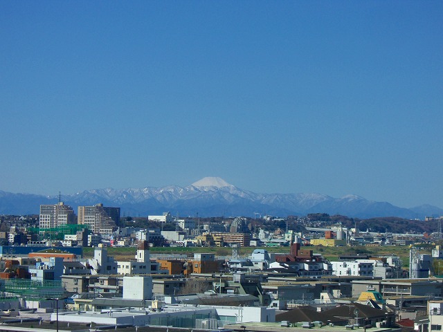 a0135901_9554088.jpg