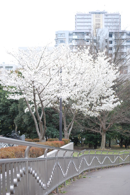 f0109202_1112113.jpg