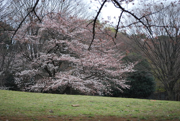 f0109202_11133513.jpg