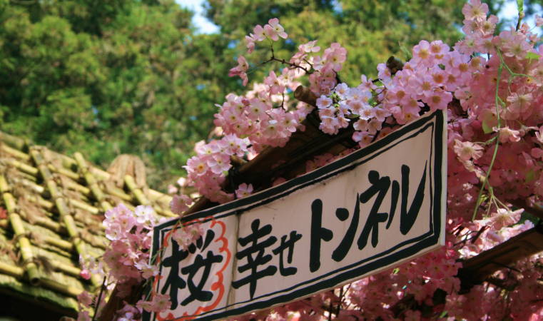 f0031304_7212316.jpg